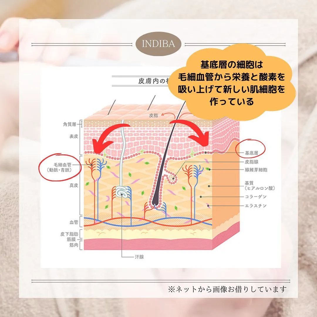 美肌のために大切なこと